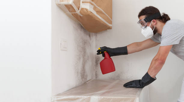 Professional Crawl Space Mold Removal technician working in Brentwood, NY